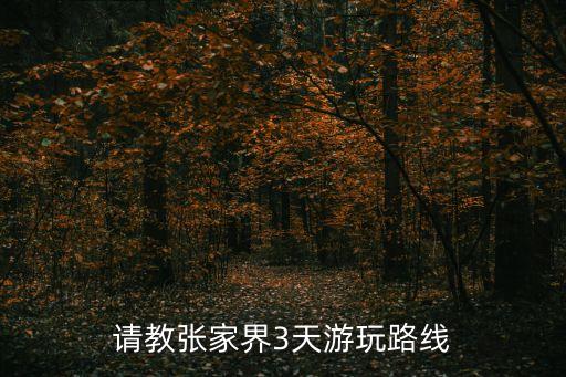 请教张家界3天游玩路线
