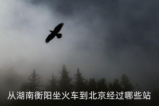 从湖南衡阳坐火车到北京经过哪些站