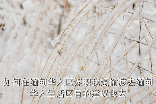缅甸找轻松工作，如何在缅甸华人区谋职我想偷渡去缅甸华人生活区有的建议我去