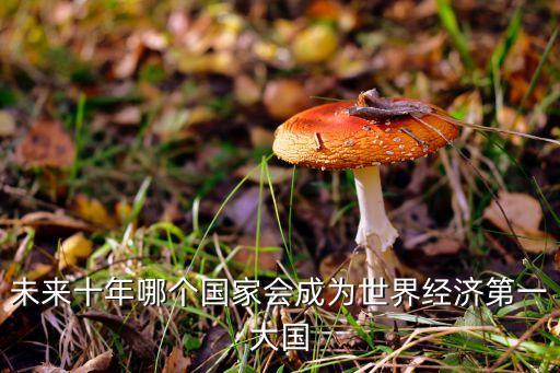 未来十年哪个国家会成为世界经济第一大国