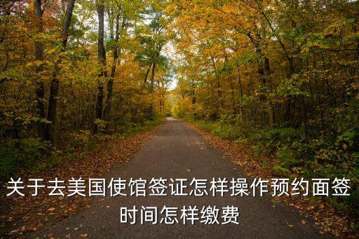 关于去美国使馆签证怎样操作预约面签时间怎样缴费