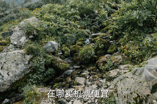 在哪买机票便宜