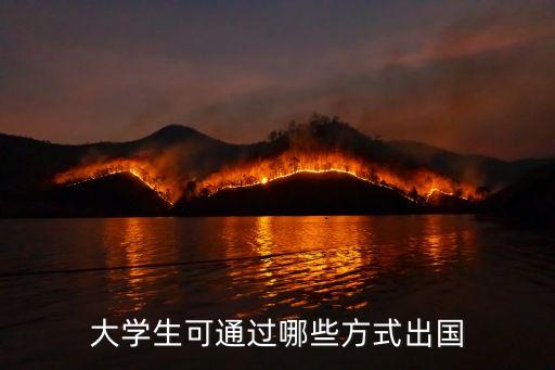 大学生可通过哪些方式出国
