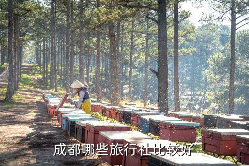 成都哪些旅行社比较好