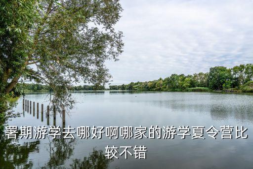 署期游学去哪好啊哪家的游学夏令营比较不错