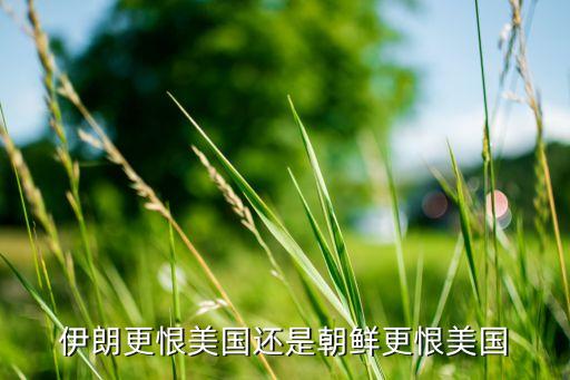 伊朗更恨美国还是朝鲜更恨美国