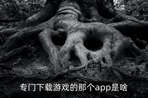 专门下载游戏的那个app是啥