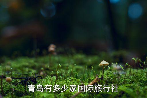 青岛旅行社名单，青岛有哪些好的出境旅行社