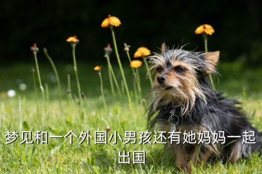 梦见和一个外国小男孩还有她妈妈一起出国