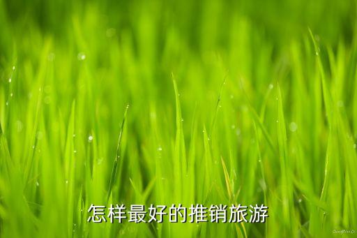 怎样最好的推销旅游