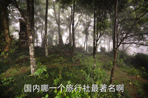 中国旅行社排名前十名 知乎，中国现在大型的前二十名旅行社有哪些要清楚详细的名字噢