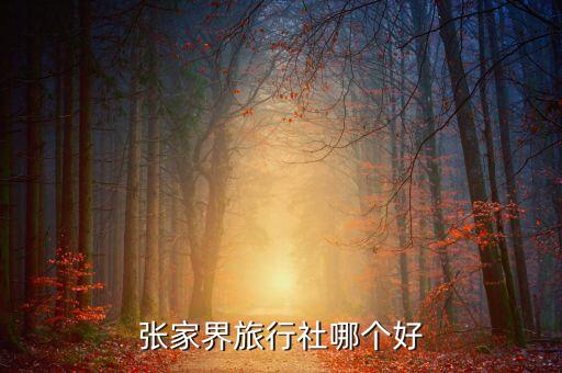 张家界旅行社哪个好