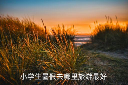 小学生暑假去哪里玩，小学生暑假旅游的好去处