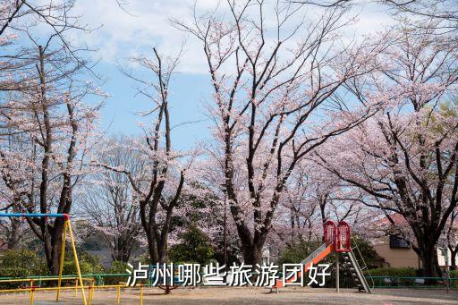 泸州哪些旅游团好