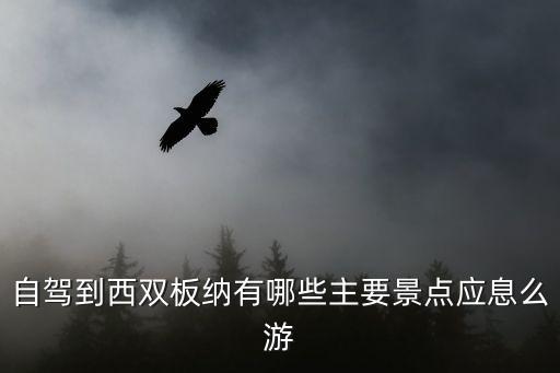 自驾到西双板纳有哪些主要景点应息么游