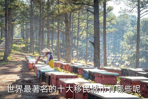 世界最著名的十大移民城市有哪些呢