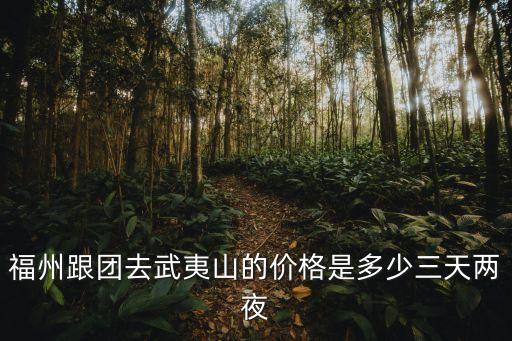 福州国旅旅行社官网价格查询，福州跟团去武夷山的价格是多少三天两夜