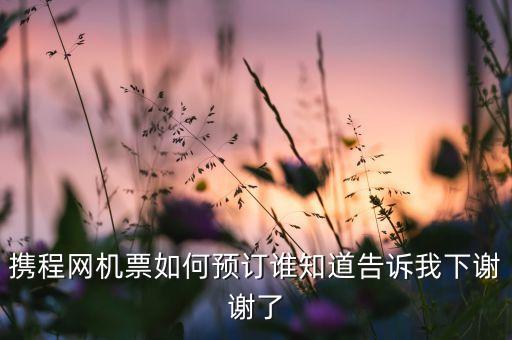 如何在携程上订机票，我想了解下在携程网买机票怎么预订