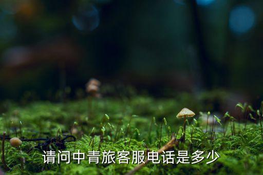 请问中青旅客服电话是多少