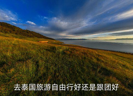 去泰国旅游自由行好还是跟团好