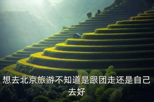 想去北京旅游不知道是跟团走还是自己去好