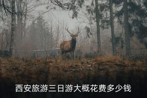 西安旅游三日游大概花费多少钱