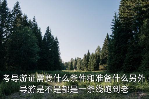考导游证需要什么条件和准备什么另外导游是不是都是一条线跑到老