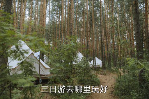 三日游去哪里玩好