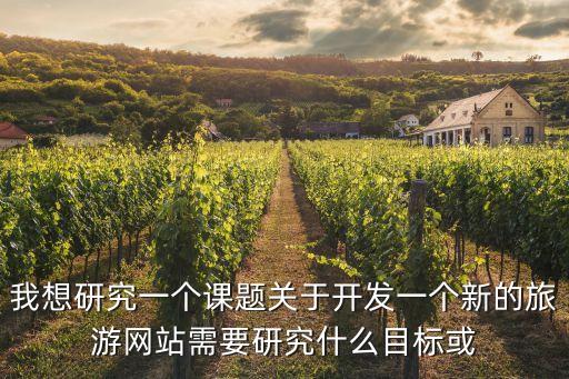 我想研究一个课题关于开发一个新的旅游网站需要研究什么目标或