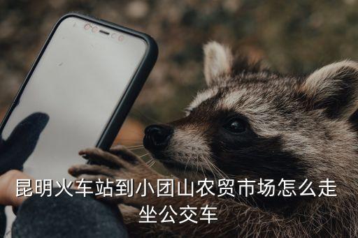 昆明火车站到小团山农贸市场怎么走 坐公交车