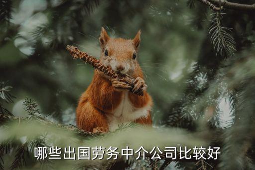 出国劳务派遣哪家好，出国劳务走那家好