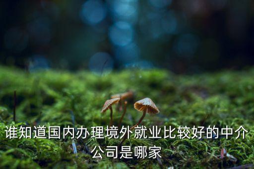 谁知道国内办理境外就业比较好的中介公司是哪家
