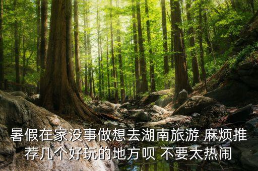 暑假在家没事做想去湖南旅游 麻烦推荐几个好玩的地方呗 不要太热闹