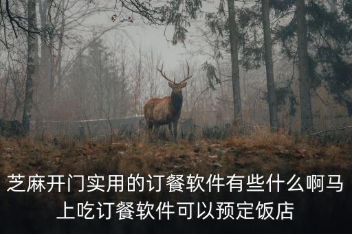 芝麻开门实用的订餐软件有些什么啊马上吃订餐软件可以预定饭店
