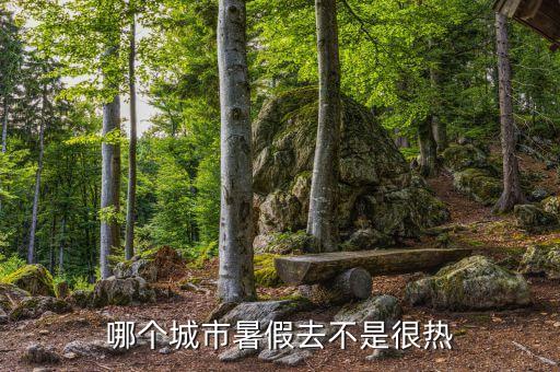 哪个城市暑假去不是很热