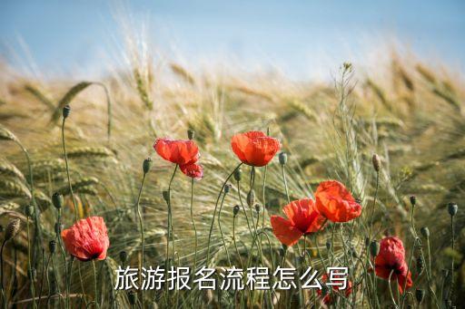 旅游报名流程怎么写