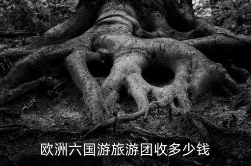 欧洲六国游旅游团收多少钱