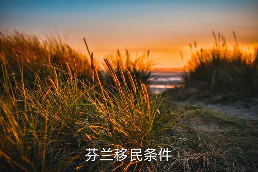 芬兰移民条件