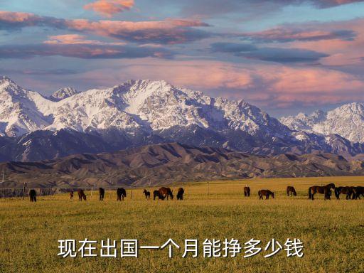 现在出国一个月能挣多少钱