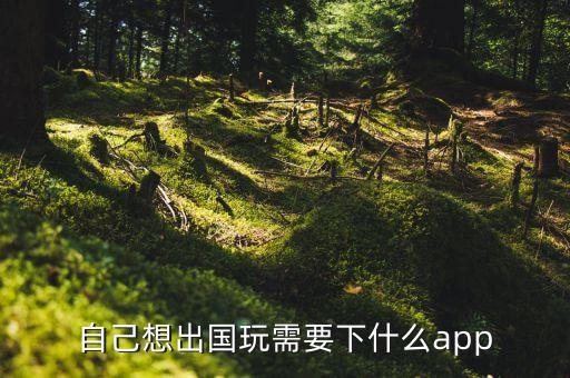 去国外下载什么app，自己想出国玩需要下什么app