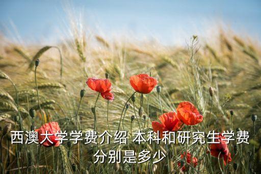 西澳大学学费介绍 本科和研究生学费分别是多少