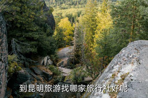 到昆明旅游找哪家旅行社好呢