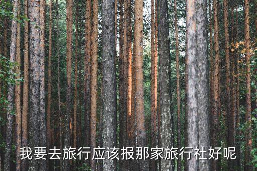 找哪个旅行社比较，旅行社哪个比较好