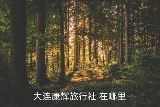 大连康辉旅行社 在哪里