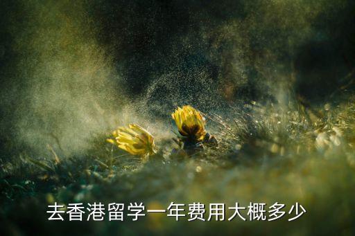 去香港留学一年费用大概多少
