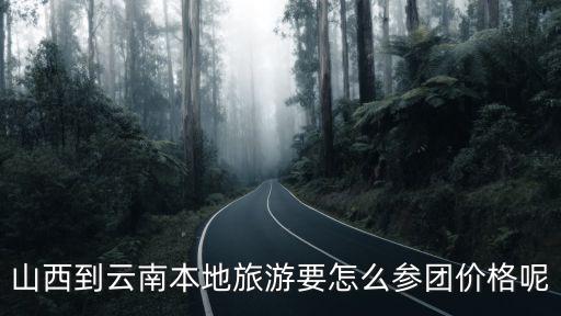 山西到云南本地旅游要怎么参团价格呢