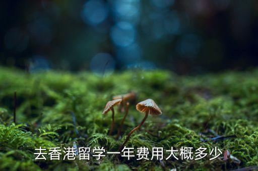 去香港留学一年费用大概多少