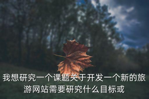 我想研究一个课题关于开发一个新的旅游网站需要研究什么目标或