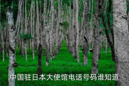 中国驻日本大使馆电话号码谁知道
