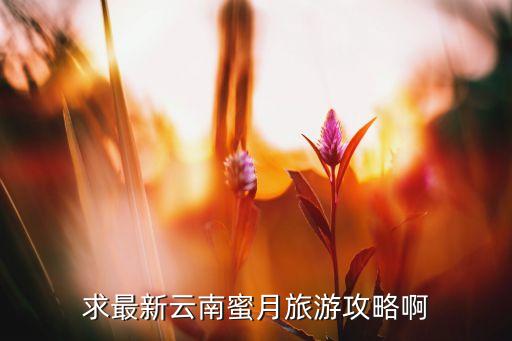 云南蜜月旅行计划方案，云南蜜月旅游安排